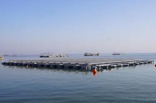 破局！海上光伏“探路者”