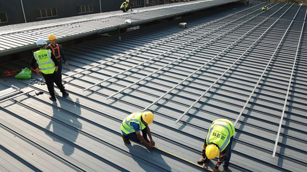 112234.jpg 112234.jpg